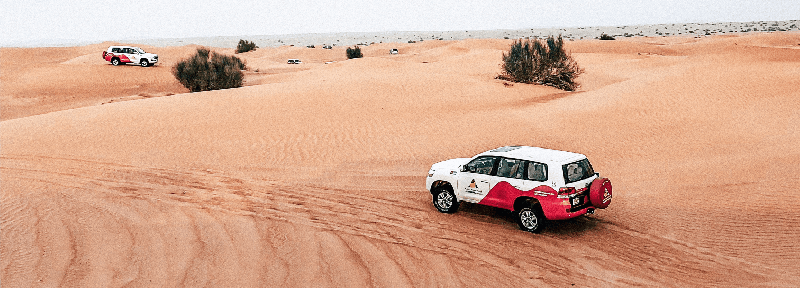 Rally Dakar