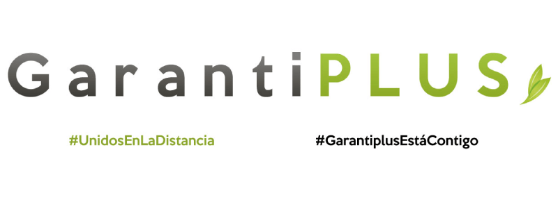 garantia mecanica
