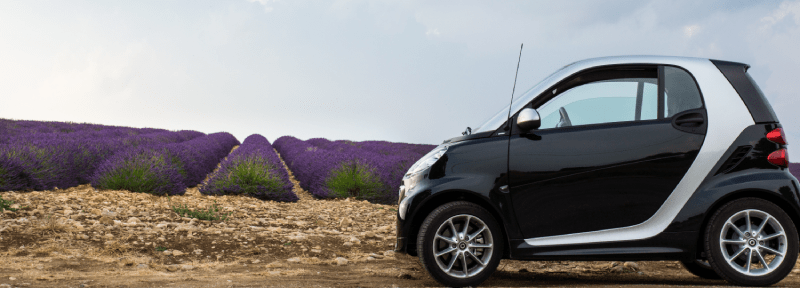 garantizar microcoche