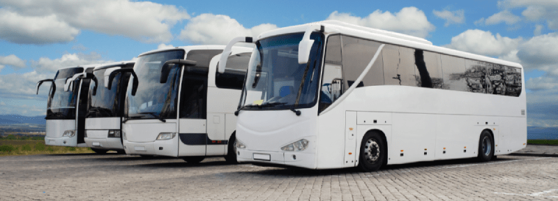 concesionarios autobuses