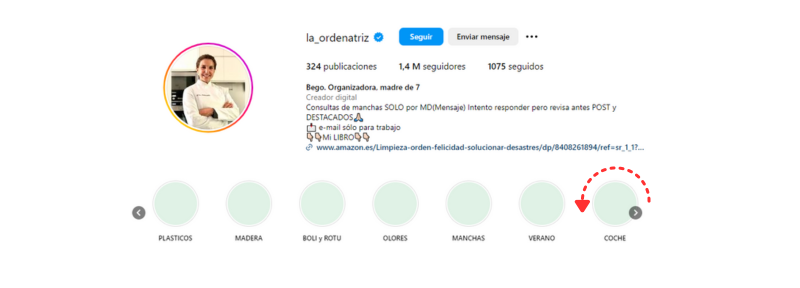 PERFIL DE INSTAGRAM DE LA ORDENATRIZ